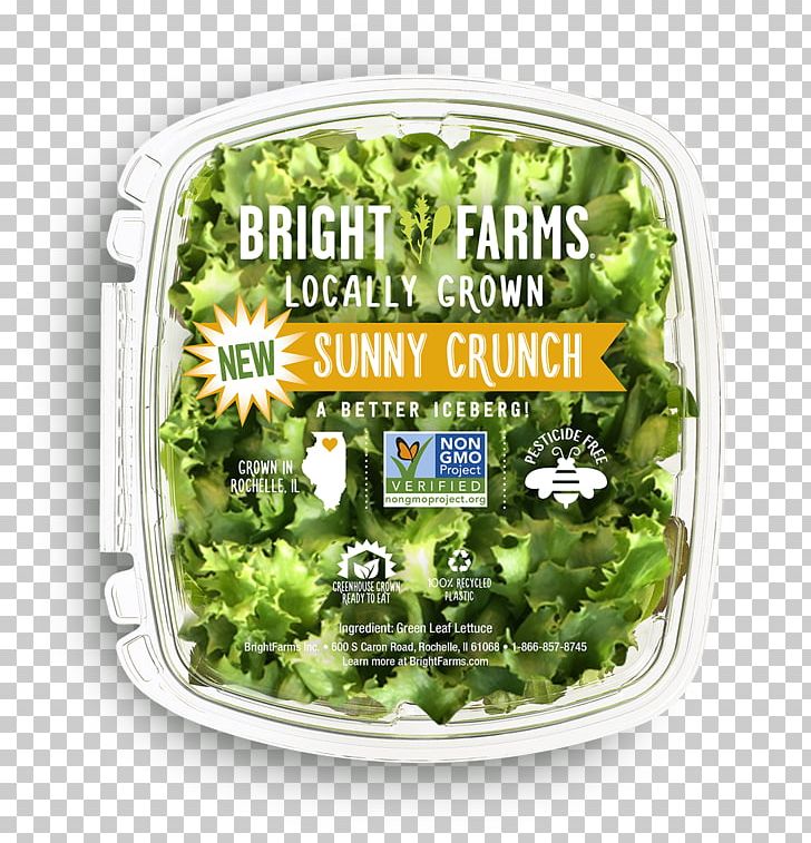 Lettuce BrightFarms Agriculture PNG, Clipart, Agriculture, Business, Dish, Farm, Food Free PNG Download