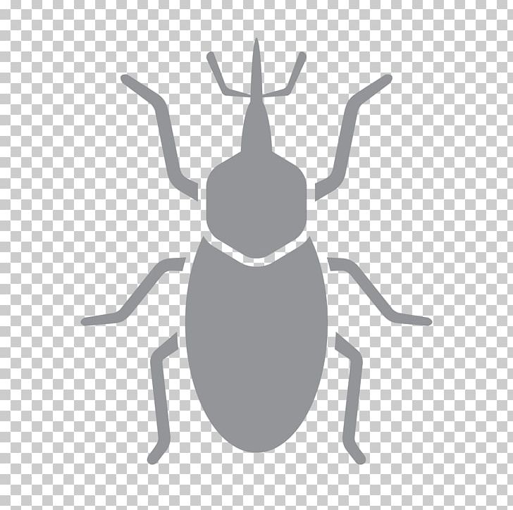 Pest Control Insect Bed Bug Hornet PNG, Clipart, 1st Pest Control, Animal, Animals, Arthropod, Bed Bug Free PNG Download