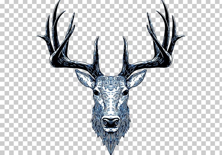 Red Deer Elk PNG, Clipart, Animals, Antler, Art, Deer, Drawing Free PNG Download