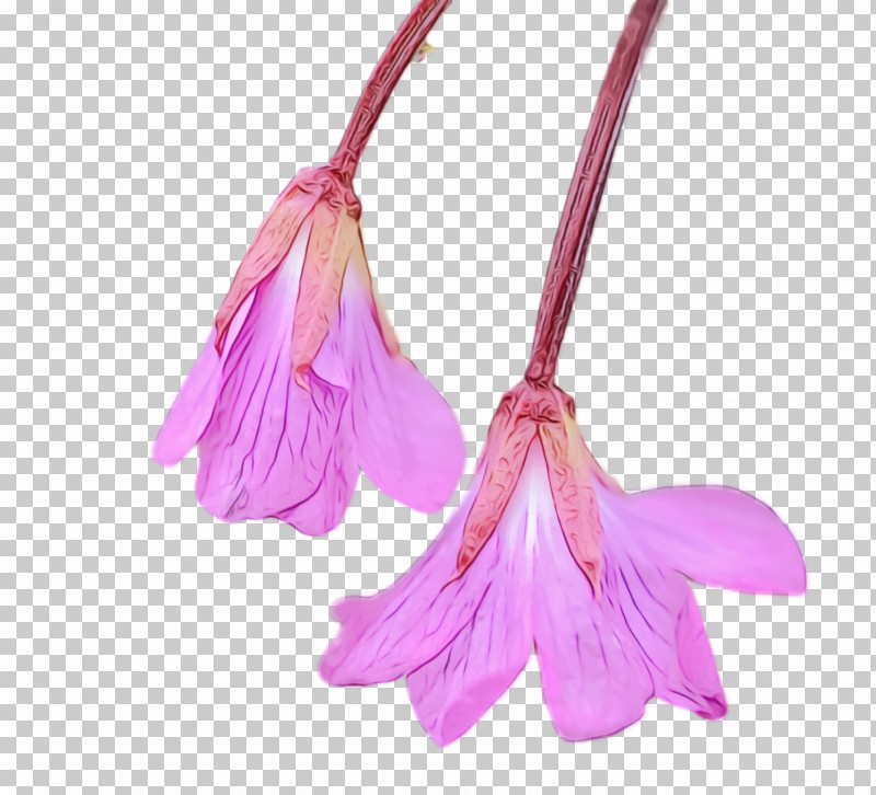 Pink Flower Violet Plant Petal PNG, Clipart, Flower, Flowers, Jewellery, Paint, Pendant Free PNG Download