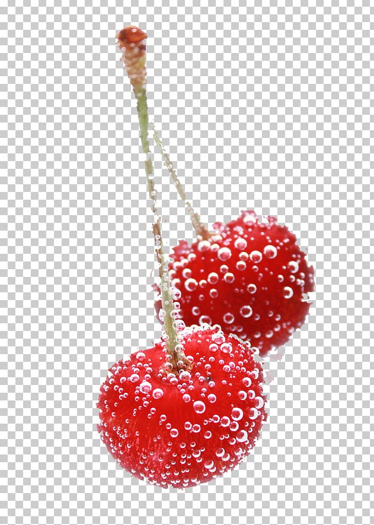 Cherry Fruit Strawberry PNG, Clipart, Berry, Blood Drop, Cherry Blossom, Cherry Blossoms, Download Free PNG Download