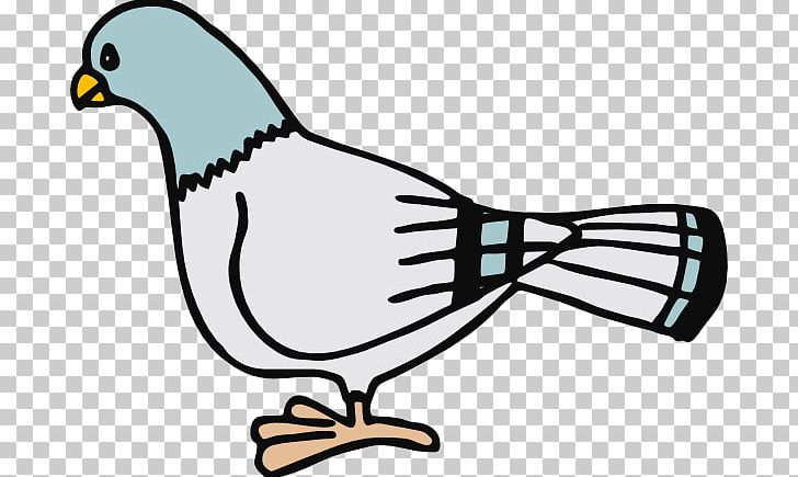 Homing Pigeon Columbidae Free Content PNG, Clipart, Artwork, Beak, Bird, Clipar, Columbidae Free PNG Download
