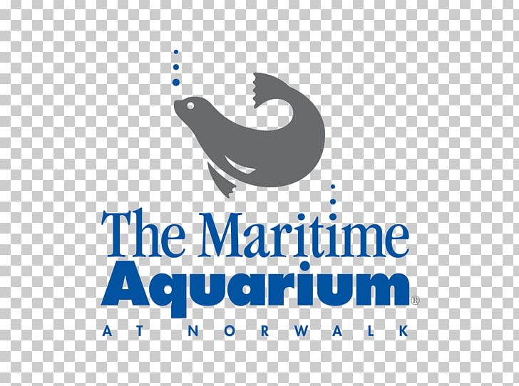 Mystic Aquarium & Institute For Exploration Maritime Aquarium At Norwalk Long Island Sound Shark PNG, Clipart, Animals, Aquarium, Artwork, Blue, Brand Free PNG Download