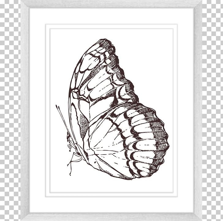 Butterfly Visual Arts Innovate Interiors Drawing PNG, Clipart, Art, Artwork, Black And White, Brush Footed Butterfly, Butterflies And Moths Free PNG Download