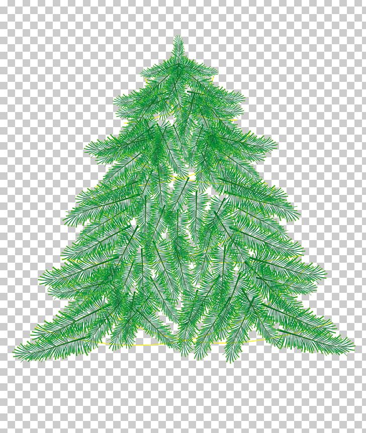 Christmas Tree Transparency And Translucency PNG, Clipart, Branch, Christmas, Christmas Decoration, Christmas Frame, Christmas Hd Clips Free PNG Download