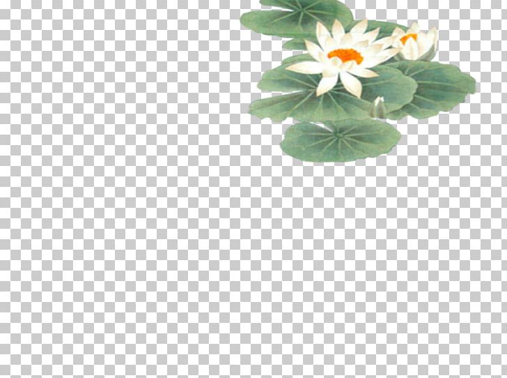 Lotus Pond Nelumbo Nucifera Icon PNG, Clipart, Download, Flooring, Flower, Food Drinks, Google Images Free PNG Download