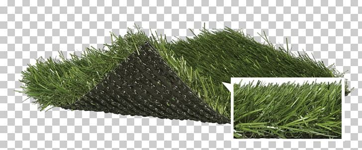 National City Artificial Turf Fast Grass Lawn Sporturf International (Synthetic Turf) PNG, Clipart, Artificial Turf, Baseball, Batting, Batting Cage, Blue Free PNG Download