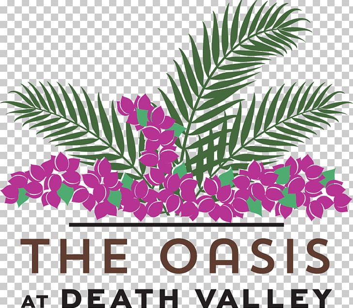 The Oasis At Death Valley Furnace Creek The Inn At Death Valley Resort Hotel PNG, Clipart, Area, Coupon, Death, Death Valley, Death Valley National Park Free PNG Download