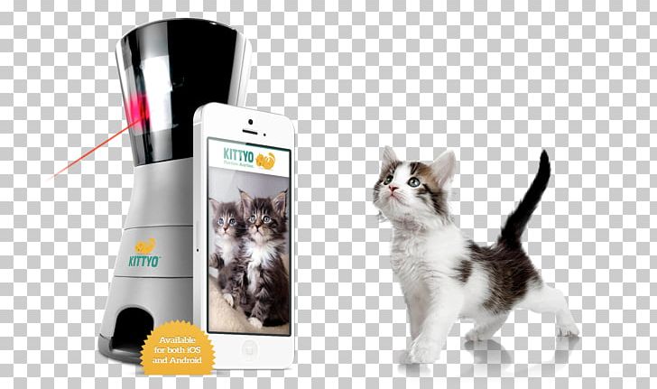 Cat Play And Toys Pet Camera Speak To Play PNG, Clipart, Animals, Camera, Cat, Cat Communication, Cat Health Free PNG Download