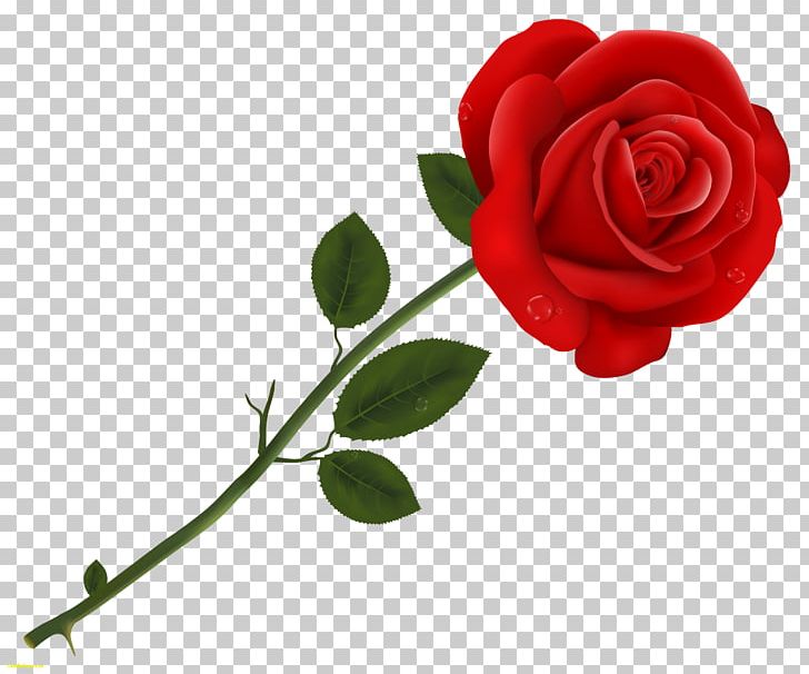 Desktop Valentine's Day Love Wish PNG, Clipart, 1080p, Cut Flowers, Desktop Wallpaper, Floral Design, Flower Free PNG Download