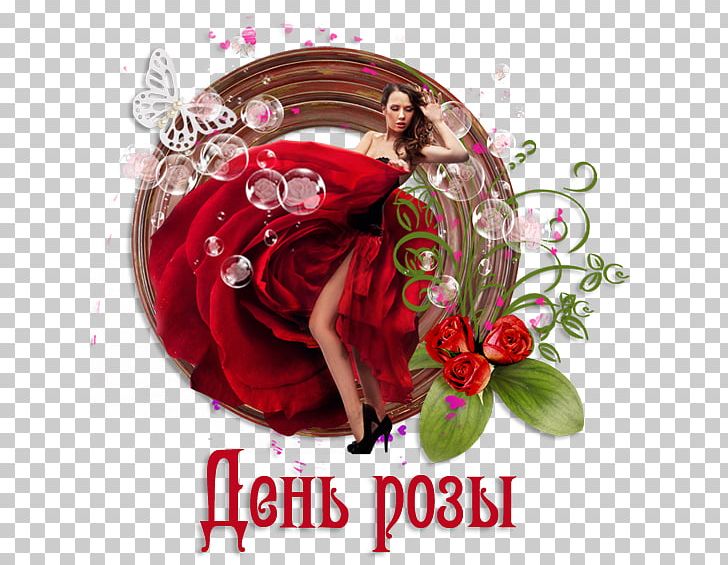 Garden Roses Cut Flowers PPS. Imaging GmbH PNG, Clipart,  Free PNG Download