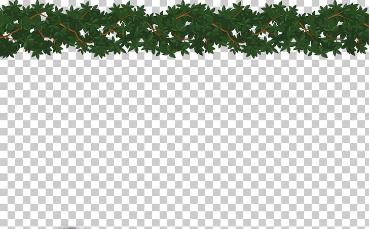 Fir Spruce Christmas Tree Evergreen PNG, Clipart, Branch, Christmas, Christmas Decoration, Christmas Tree, Conifer Free PNG Download