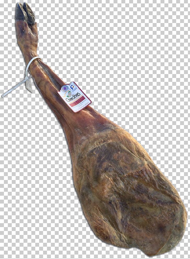 Black Iberian Pig Chacinas De Villanueva SL Ham Jamón Ibérico Meat PNG, Clipart, Acorn, Animal Source Foods, Bayonne Ham, Black Iberian Pig, Chorizo Free PNG Download