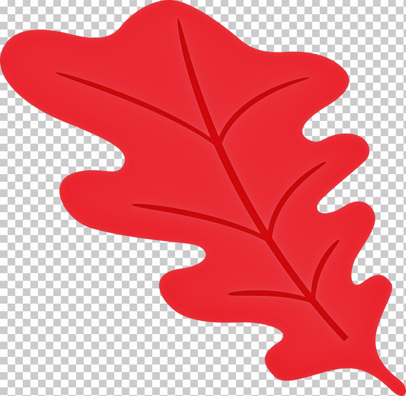 Oak Leaf PNG, Clipart, Color, Leaf, Maple, Maple Leaf, Oak Free PNG Download