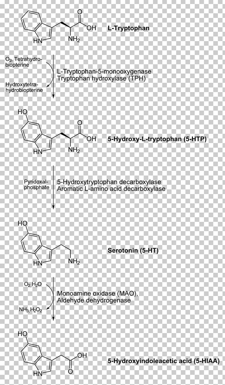 Aromatic L-amino Acid Decarboxylase Decarboxylation Serotonin Dopamine Levodopa PNG, Clipart, 5hydroxytryptophan, Amino Acid, Angle, Area, Aromatic Amino Acid Free PNG Download
