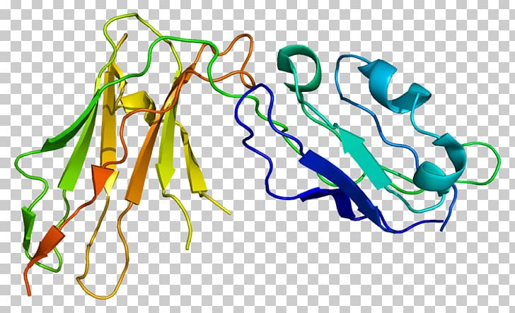 Lilrb1 Gene Protein Leukocyte Immunoglobulin-like Receptors PNG, Clipart, Area, Art, Artwork, Cell Signaling, Gene Free PNG Download