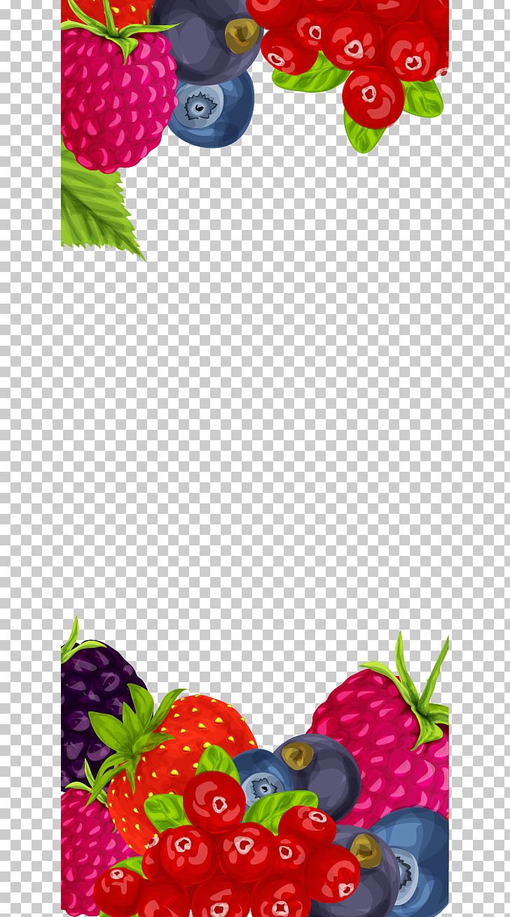Strawberry Frutti Di Bosco Fruit Euclidean PNG, Clipart, Blackberries, Border Frame, Certificate Border, Cherry, Christmas Border Free PNG Download
