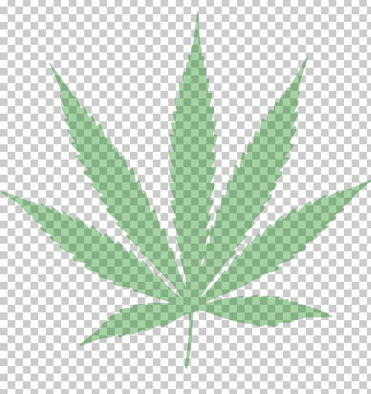 Medical Cannabis Drawing PNG, Clipart, Cannabis, Cannabis Smoking, Drawing, Grass, Hemp Free PNG Download
