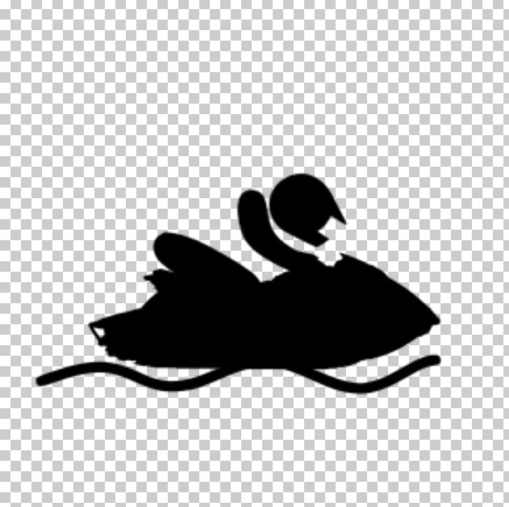 2008 Asian Beach Games 2014 Asian Beach Games Personal Water Craft Jet Ski PNG, Clipart, 2008 Asian Beach Games, 2014 Asian Beach Games, Beak, Bird, Black Free PNG Download