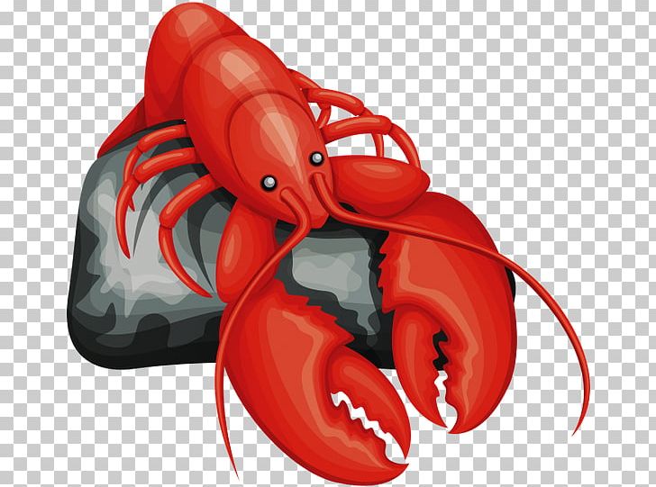 Animal Crustacean PNG, Clipart, Animal, Animals, Animal Source Foods, Aquatic Animal, Boxing Glove Free PNG Download