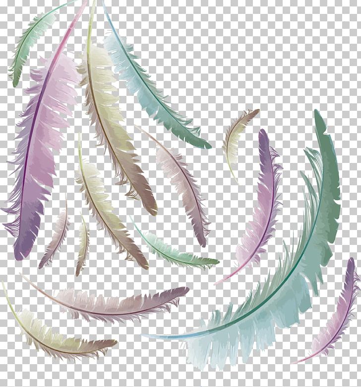 Feather Euclidean Computer File PNG, Clipart, Animals, Color, Color Gradient, Download, Drawing Free PNG Download