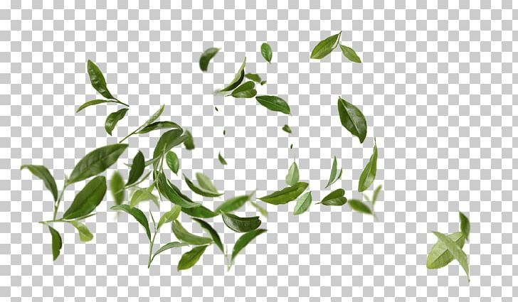 Reuse ODELIC CO. PNG, Clipart, Branch, Carbon Dioxide, Collaboration, Donation, Environmentally Friendly Free PNG Download
