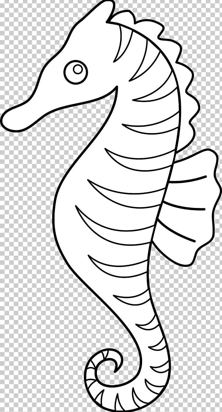 Seahorse Line Art PNG, Clipart, Beak, Black And White, Cartoon, Clip Art, Coloring Book Free PNG Download