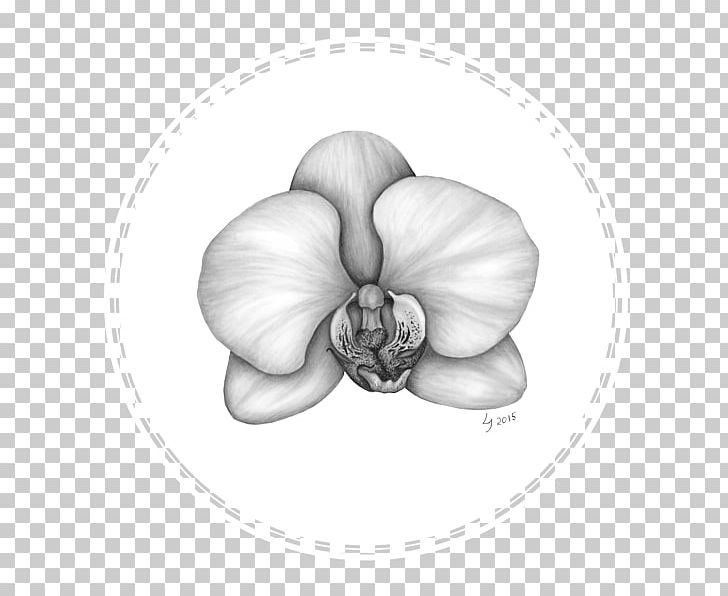 White Flowering Plant PNG, Clipart, Artwork, Black And White, Drawing, Flower, Flowering Plant Free PNG Download