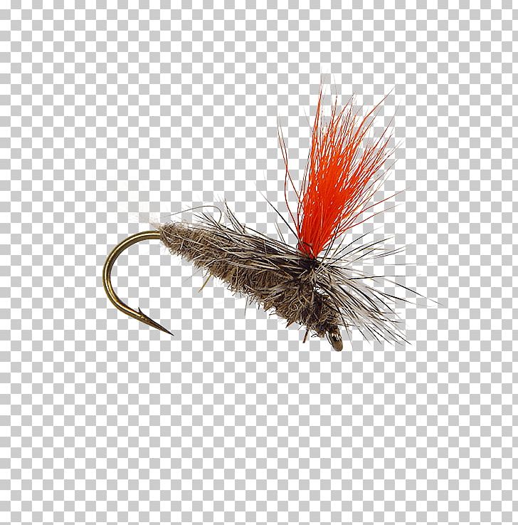 Artificial Fly Hare's Ear Insect Nymph PNG, Clipart,  Free PNG Download