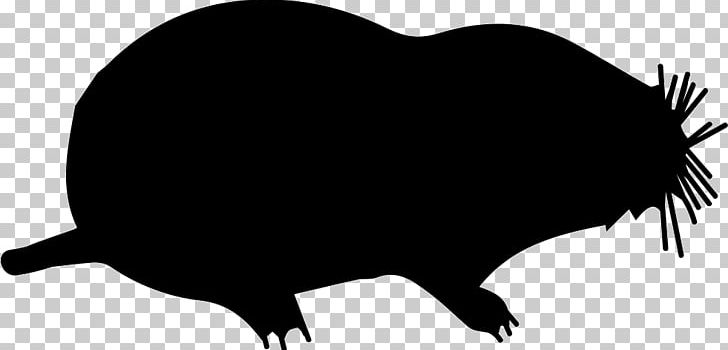 Rat Moles Shape Animal Mammal PNG, Clipart, Animal, Animals, Beak, Black, Black And White Free PNG Download