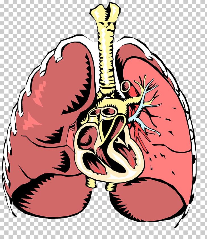 Respiratory Disease Respiratory System Respiratory Tract Breathing PNG, Clipart, Bronchus, Disease, Dyspnea, Human Body, Infection Free PNG Download