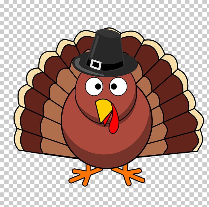 Turkey Meat Thanksgiving PNG, Clipart, Beak, Bird, Black Background, Black Hair, Brown Free PNG Download