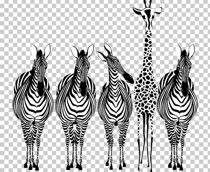 Art PNG, Clipart, Art, Art Design, Black And White, Fauna, Giraffe Free PNG Download