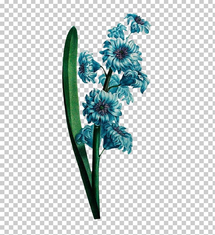 Cut Flowers Plant PNG, Clipart, 2018, Beautiful Flowers, Copyright, Cut Flowers, Flower Free PNG Download