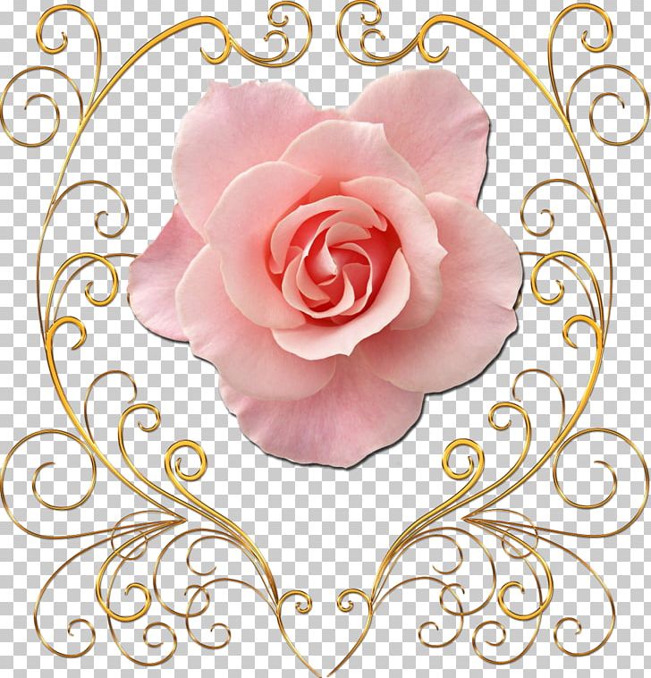 Flower Gold Png Clipart Art Artwork Beach Rose Blume Cut Flowers Free Png Download