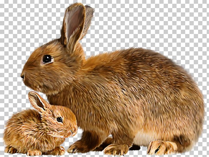Hare Mother Rabbit Baby Bunnies Flemish Giant Rabbit PNG, Clipart, Animals, Baby Bunnies, Bunnies, Child, Cute Animals Free PNG Download