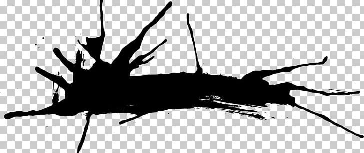 Insect Black And White PNG, Clipart, Animal, Animals, Arthropod, Black And White, Branch Free PNG Download