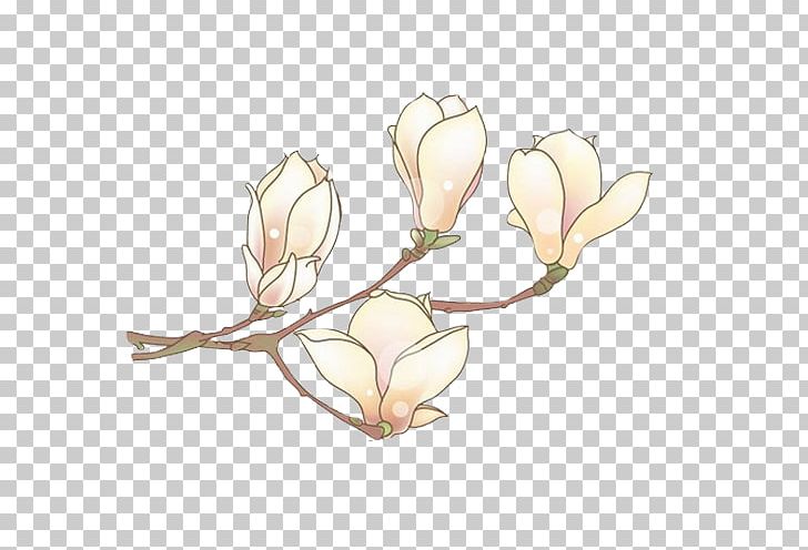 Narcissus Pseudonarcissus Plant Raster Graphics Bud PNG, Clipart, Branch, Bud, Daffodil, Drawing, Flower Free PNG Download