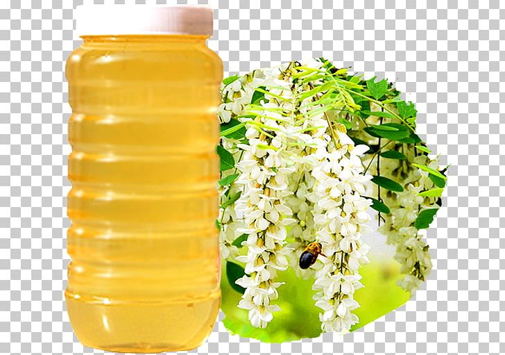 Honey Food Black Locust PNG, Clipart, Acacia Honey, Beverage, Copyright, Eating, Honey Bee Free PNG Download