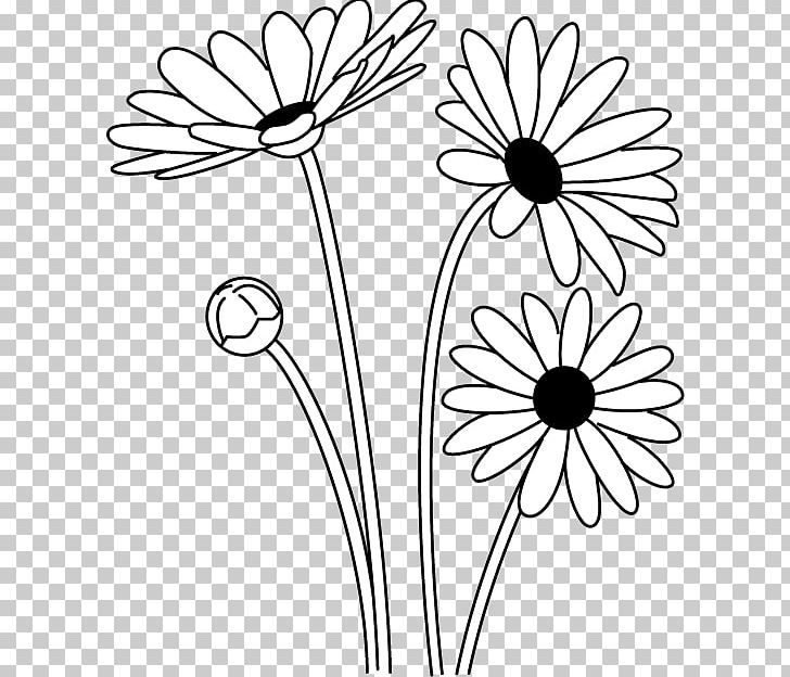 daisy clip art black and white