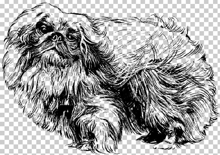 Pekingese Poodle Shih Tzu Dobermann Rottweiler PNG, Clipart, Affenpinscher, Animal, Carnivoran, Companion Dog, Dobermann Free PNG Download