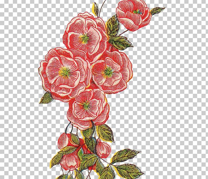 Flower Floral Design PNG, Clipart, Artificial Flower, Cut Flowers, Download, Flora, Floral Design Free PNG Download