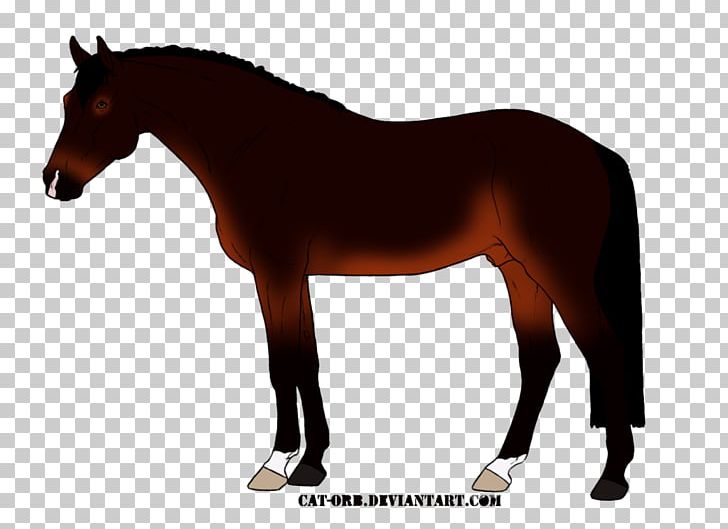 Mustang Mane Pony Stallion Foal PNG, Clipart, Bay, Bridle, Colt, English Riding, Equestrian Free PNG Download