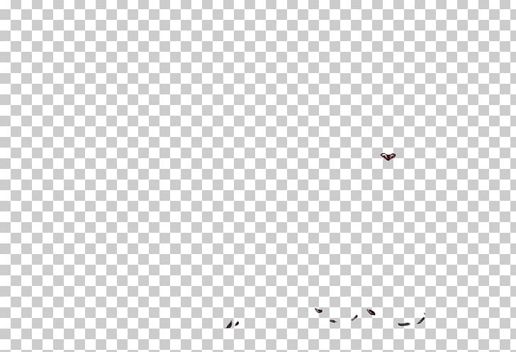 White Black Computer Circle Desktop PNG