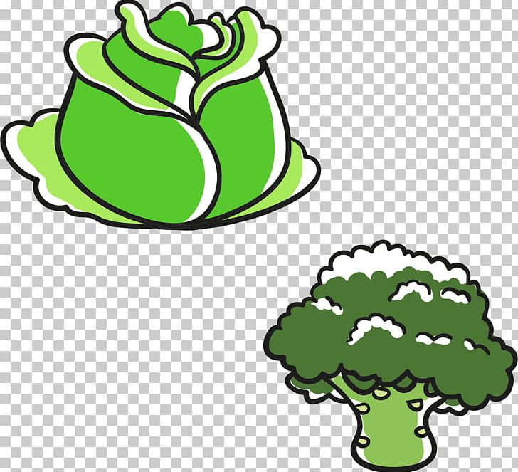 Cabbage Broccoli Leaf Vegetable PNG, Clipart, Area, Balloon Cartoon, Cabbage, Cartoon, Cartoon Character Free PNG Download