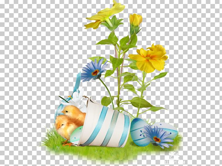 Easter Bunny Easter Egg Greeting PNG, Clipart, Birthday, Cut Flowers, Daisy, Desktop Wallpaper, Easter Free PNG Download