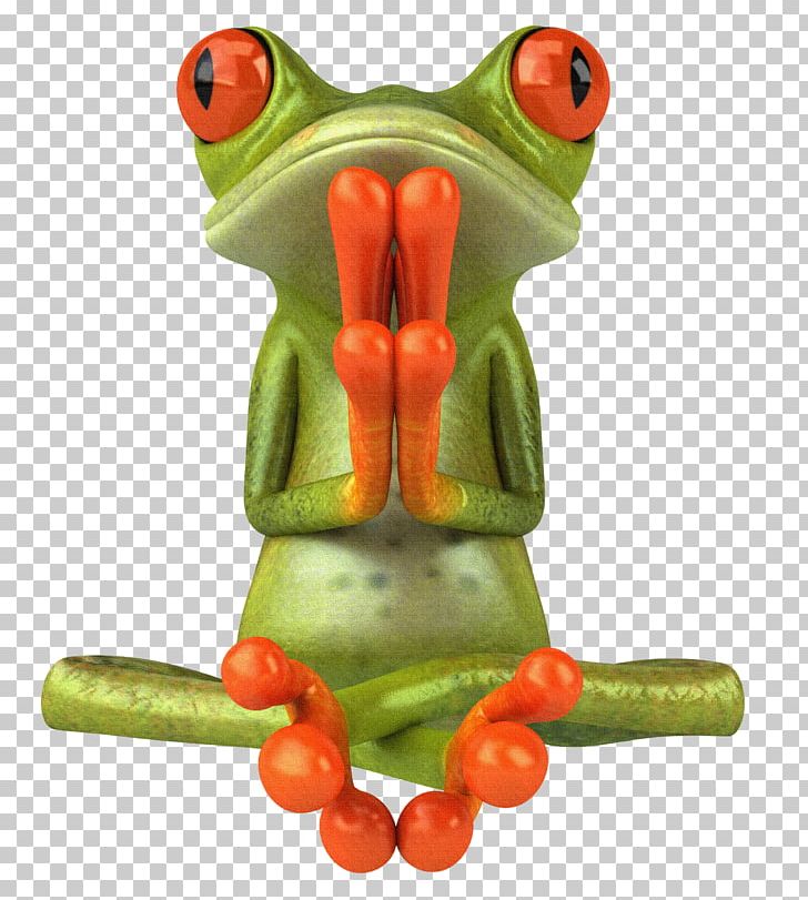 Frog Photography Zen PNG, Clipart, Amphibian, Animals, Clip Art, Desktop Wallpaper, Drawing Free PNG Download
