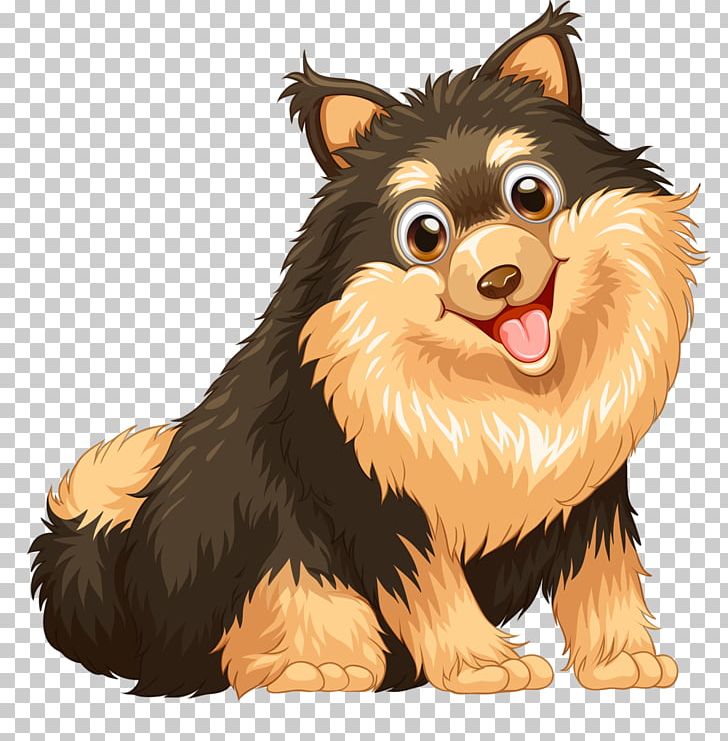 Pomeranian Puppy PNG, Clipart, Animals, Breed, Can Stock Photo, Carnivoran, Collie Free PNG Download