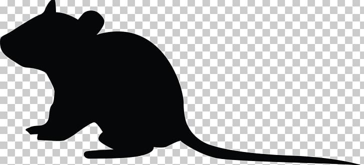 Whiskers Rat Goods Rodent Gift PNG, Clipart, Animals, Black, Black And White, Black Cat, Cafepress Free PNG Download