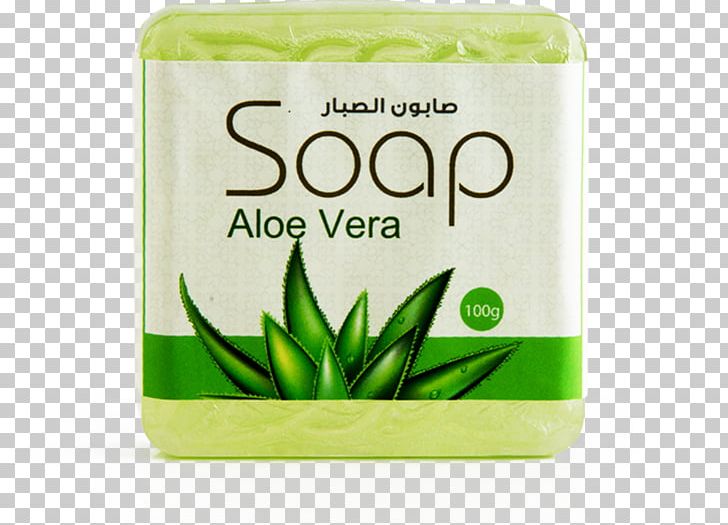 Aloe Vera Skin Care Lotion Product Cosmetics PNG, Clipart, Aloe, Aloe Vera, Body Spray, Cosmetics, Cream Free PNG Download